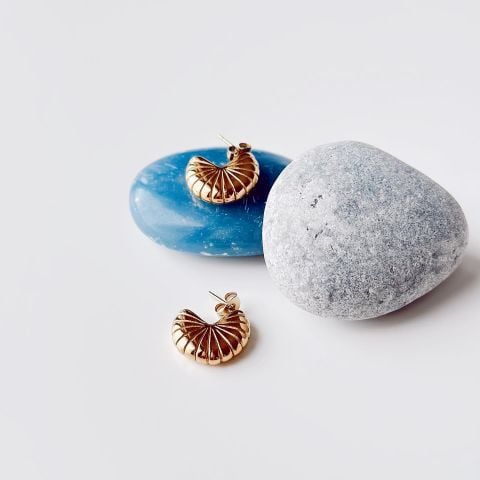 Snail Steel Earring | Çelik Küpe