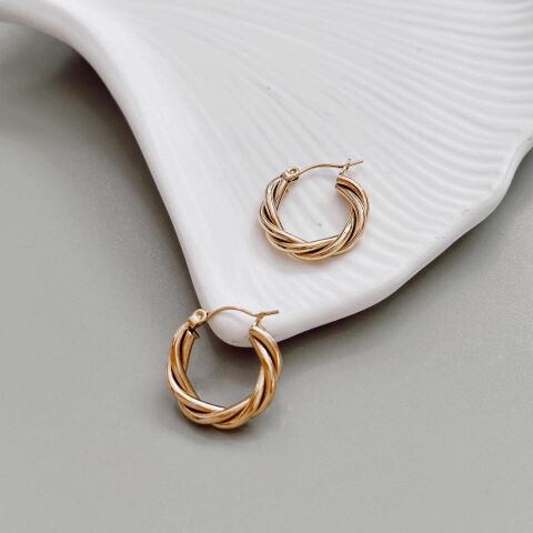Thiw Steel Earring