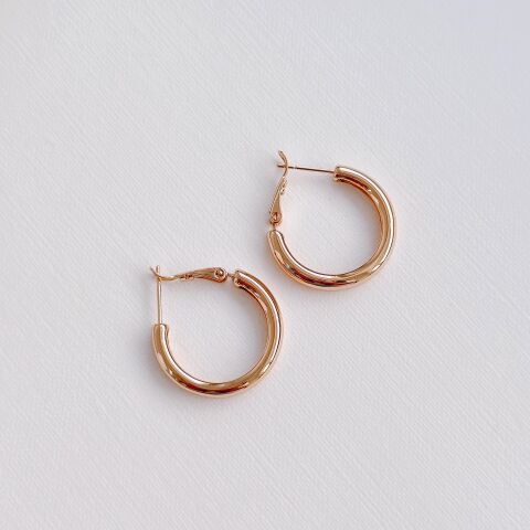 Didec Steel Earring