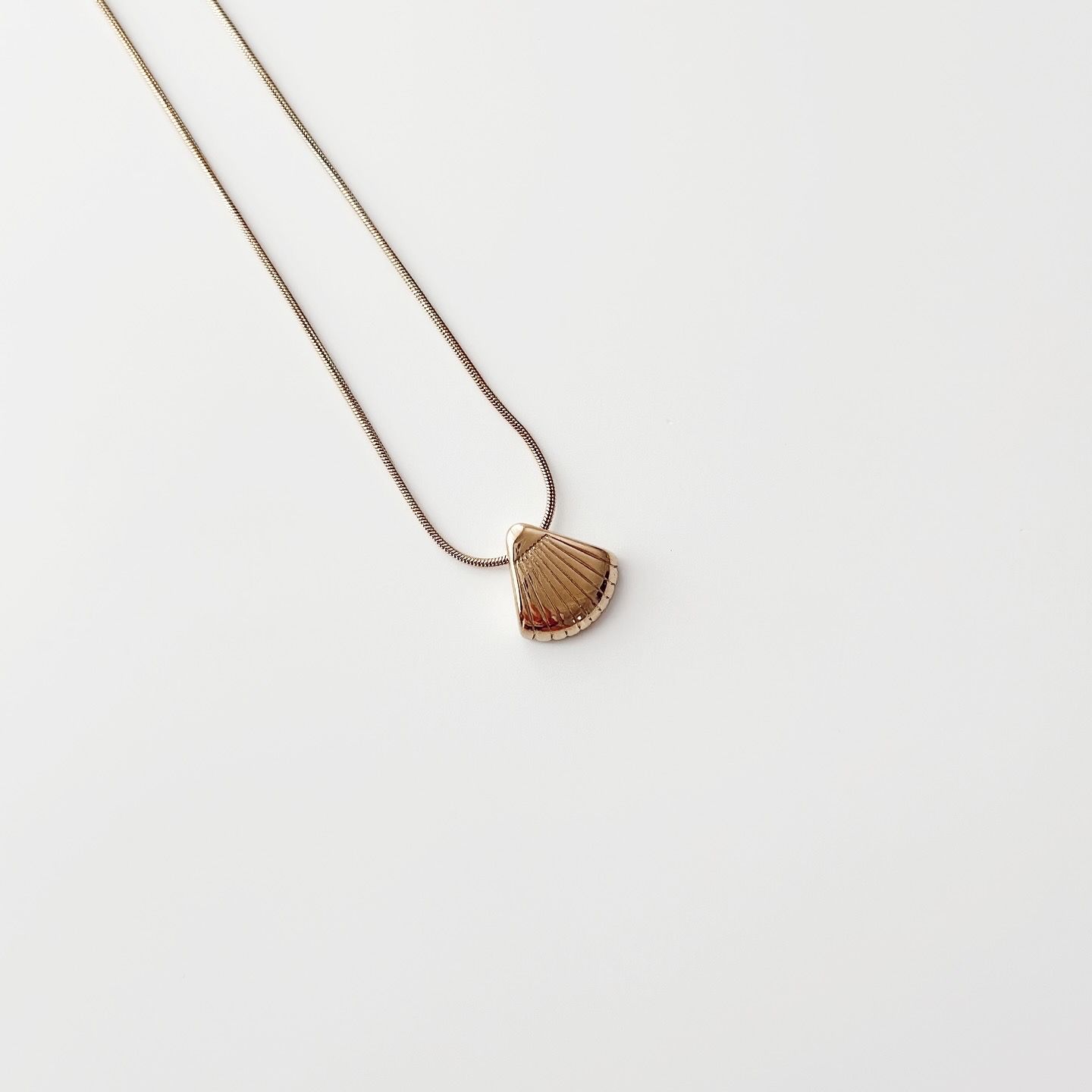 Shilling Steel Necklace | Çelik Kolye