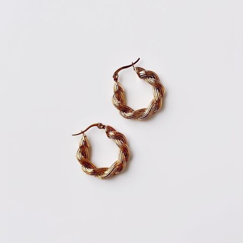 Ovi Steel Earring