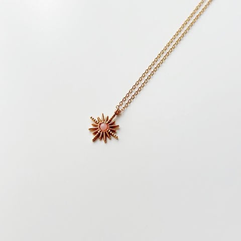Roan Pink Steel Necklace | Çelik Kolye